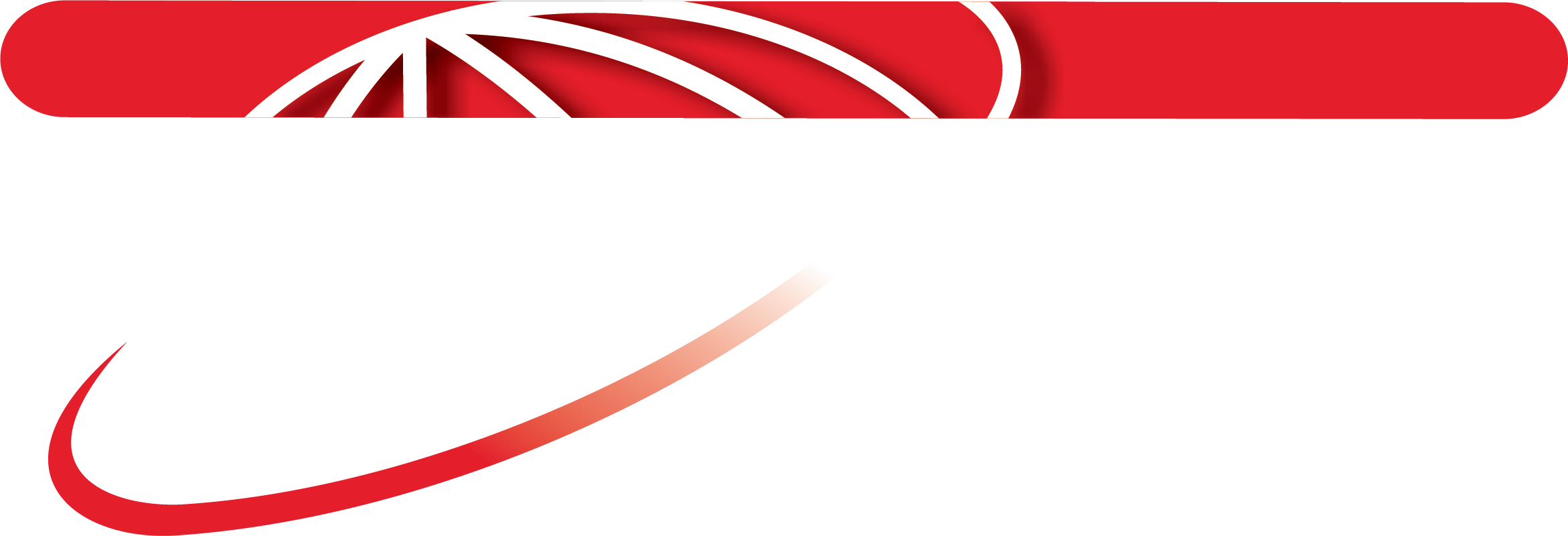 NS Pro Group Logo